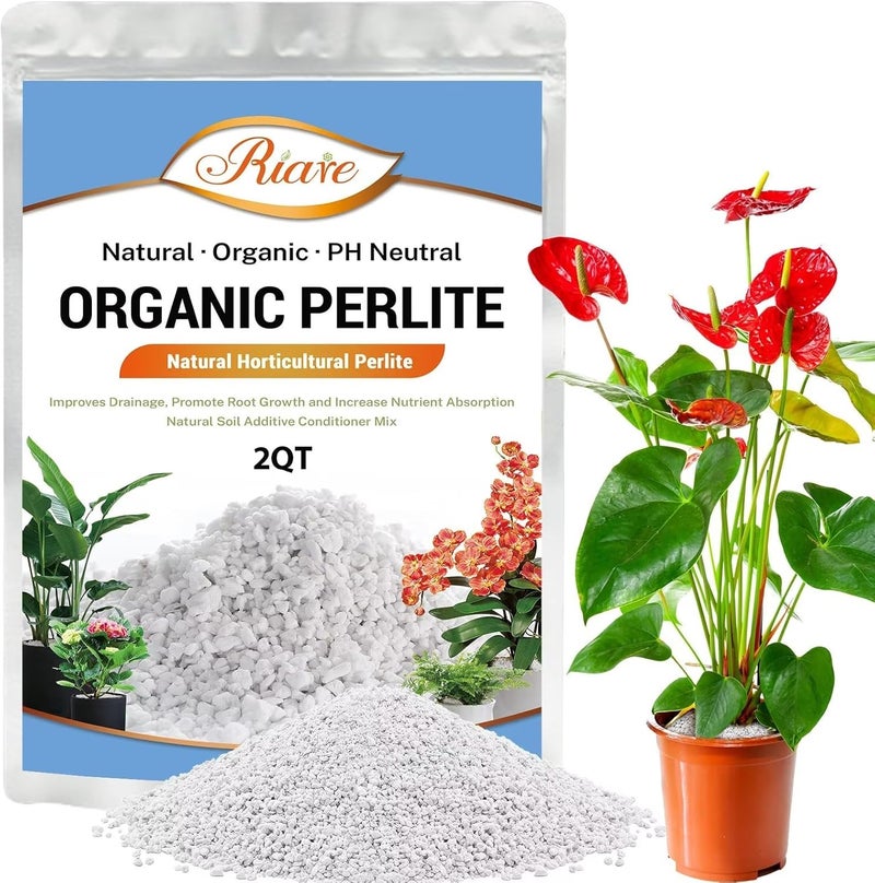 Riare 2 Quarts Organic Perlite for Plants - Horticultural Perlite Soil Amendment for Plants Potting Mix, Natural Chunky Perlite Soil Additive Conditioner Improve Root Growth, Drainage and Ventilation - Image 1